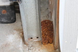 A copper kitchen scrubber fits perfectly between the garage door track and outer garage wall, blocking entry of any mouse that might want to take up residence in our garage.