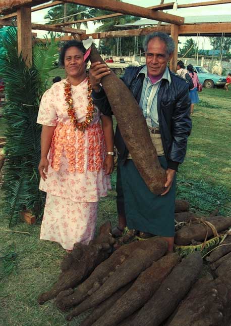 Are You Actually Eating Yams or Sweet Potatoes?