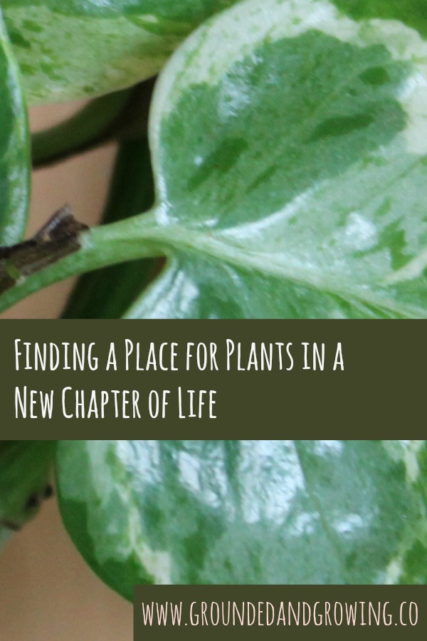 Finding a Place for Plants in a New Chapter of Life