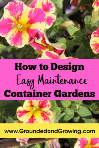 diy easy maintenance container garden design