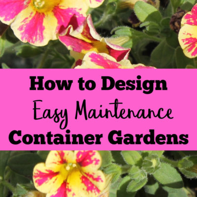 How to Design Easy Maintenance Container Gardens