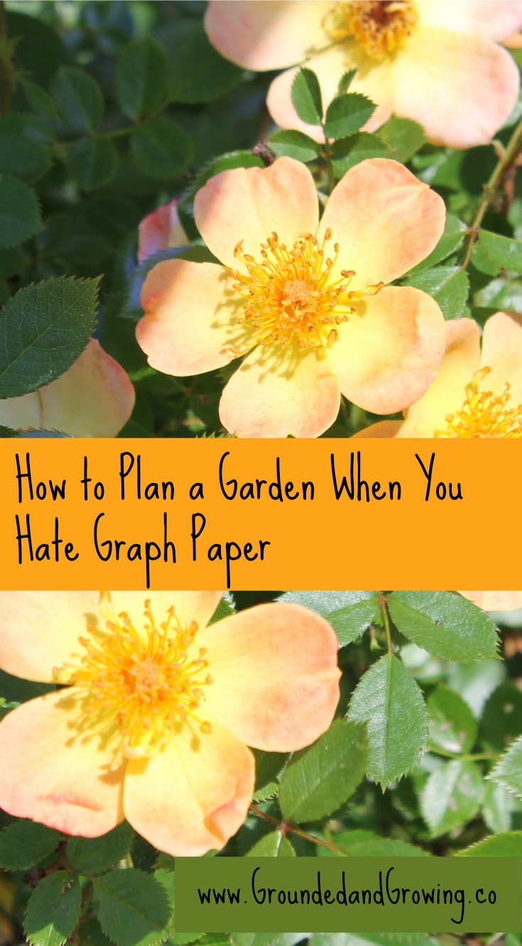 How to Plan a Garden When You Hate Graph Paper