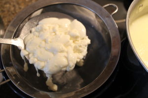 mozzarella cheese curds