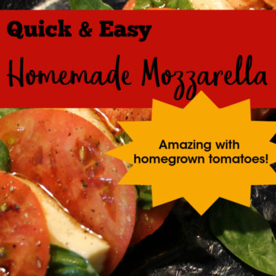 Homemade Mozzarella Cheese: It Will Make You Feel Like a Gourmet Chef