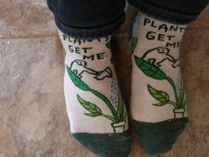 "plants get me" socks