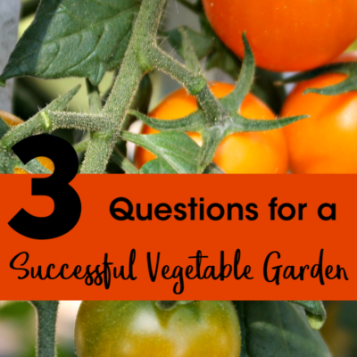 Three Questions for a Successful Vegetable Garden