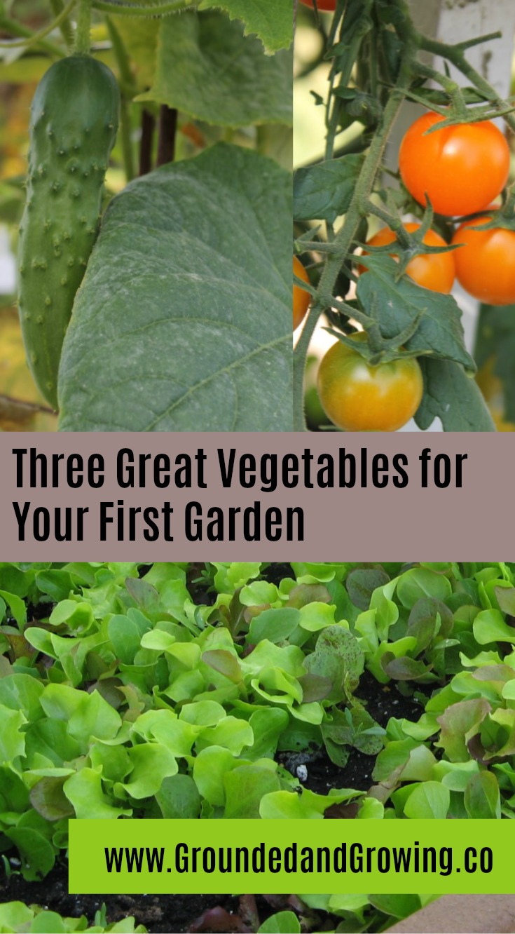 Three Great Vegetables for Your First Garden