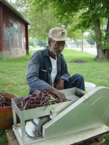 shelling purplehull peas