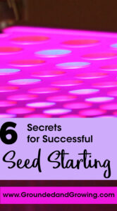 6 tips for seed starting www.groundedandgrowing.com