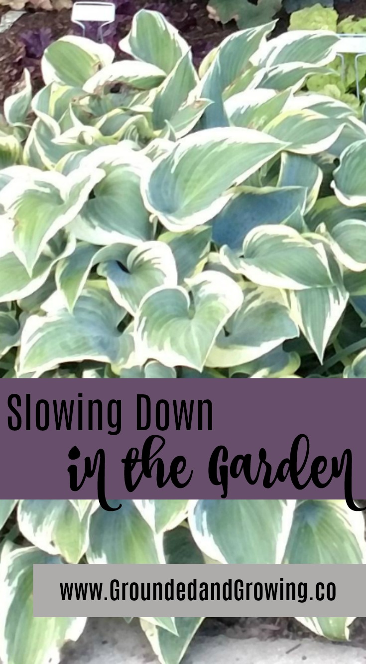 Slowing Down in the Garden