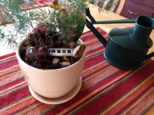 asparagus fern fairy garden plus ornaments