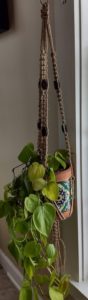 diy jute macrame beaded plant hanger