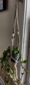 diy cotton rope macrame plant hanger