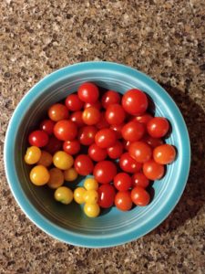 growing aerogarden tomatoes