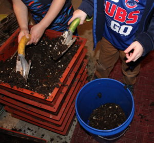 finished vermicompost worm compost