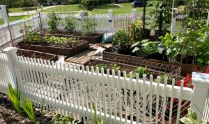 raised bed square foot garden