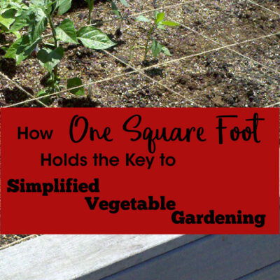 How One Square Foot Holds the Key to Simplified Vegetable Gardening