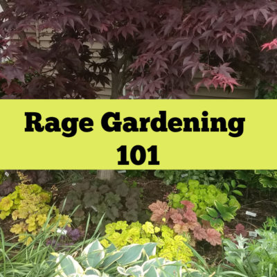 How to Calm Your Mind with Rage Gardening