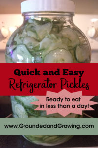 refrigerator pickles