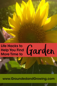 life hacks garden