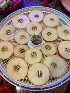 Sliced apples food dehydrator