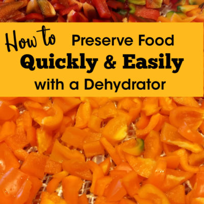 How to Preserve Food Quickly and Easily with a Dehydrator